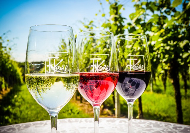 3 Weingläser auf Tisch im Weingarten