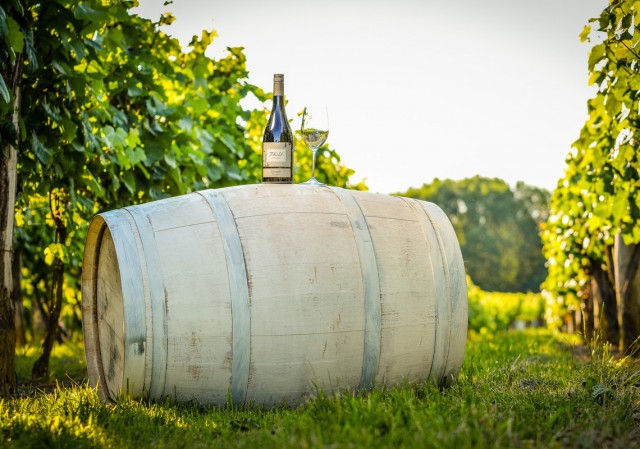 Steirabua Weißwein - Weinfass im Weingarten