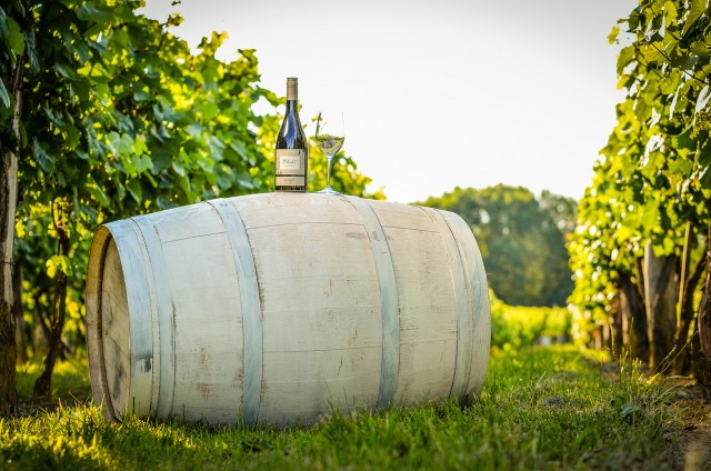 Zweigelt Rotwein auf Weinfass