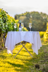 Tisch mit Wein im Weingarten