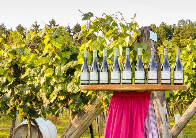 Weinpräsentation der Kohl Weine auf Tisch